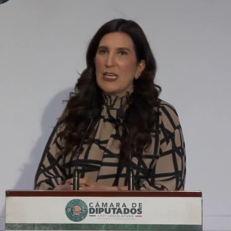 Diputados atiende el llamado de Sheinbaum a solidarse con los mexicanos agredidos en Estados Unidos: López Rabadán