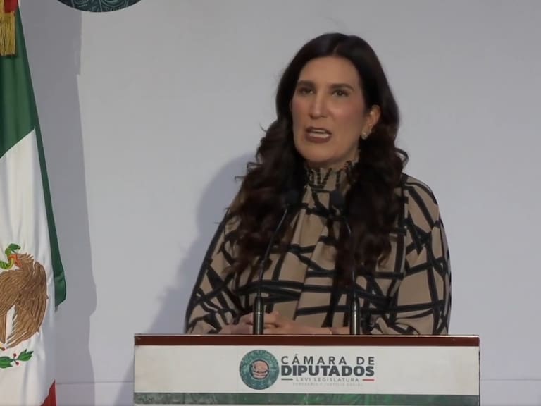 Desde la Cámara de Diputados en México se impulsarán un pronunciamiento en defensa de los connacionales en Estados Unidos, afirma Kenia López.