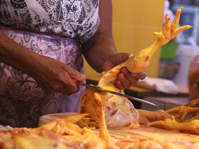 Autoridades confirman que el consumo de pollo y huevo no aumenta el contagio de influenza