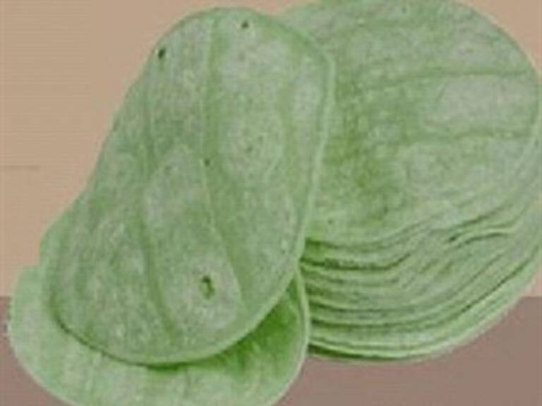 Tortillas de nopal, una mejor opción