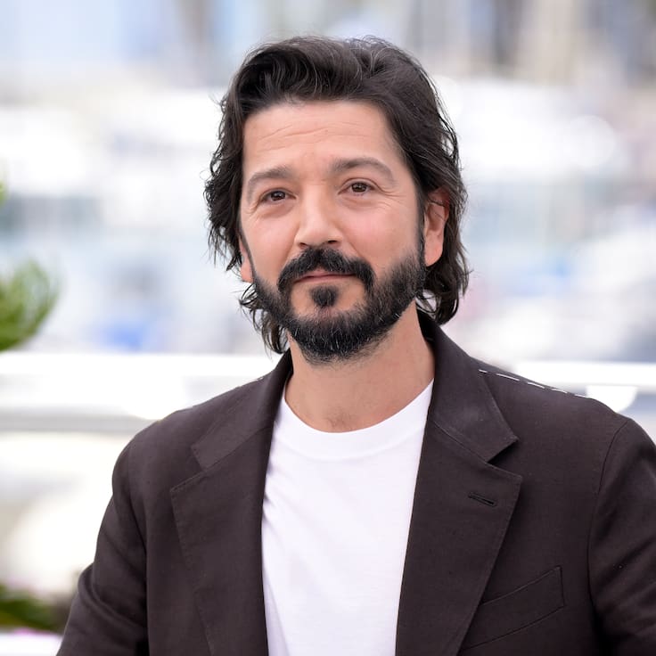 Diego Luna llevará el cine mexicano al Festival Internacional de Cine de Toronto 2026 con Ashes
