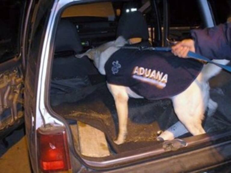 Con apoyo de perros policías frenan distribución de más de 118 mil cigarros ilegales en Sonora y Chihuahua