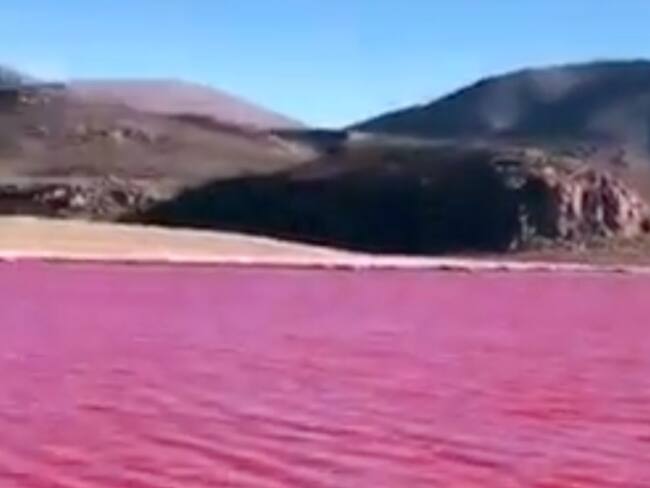 Río Nilo en Egipto se tiñe de rojo; ¿Qué significa según la Biblia? | VIDEO