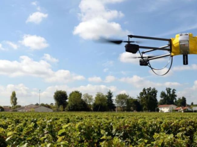 Drones plantan 100 mil árboles al día