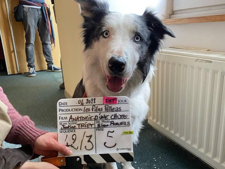 Estrella perruna en los premios Oscar, conoce a Messi