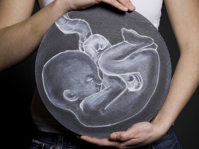 Nace bebé por inseminación post mortem en Portugal; ¿En qué consiste?