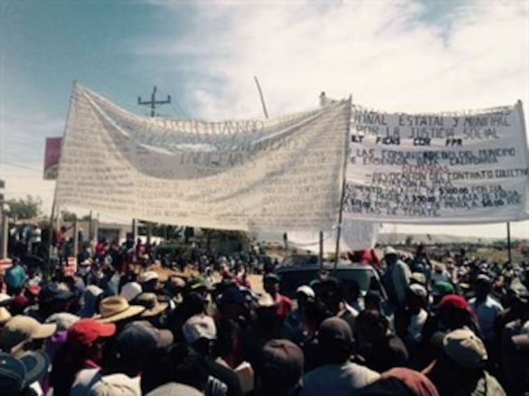 Detienen a 236 jornaleros del Valle de San Quintín por protestar para exigir mejores condiciones de trabajo
