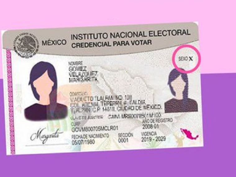 El Instituto Nacional Electoral incluye a personas no binarias en la credencial de elector