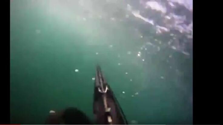 Un buzo graba con su GoPro el ataque de un tiburón blanco