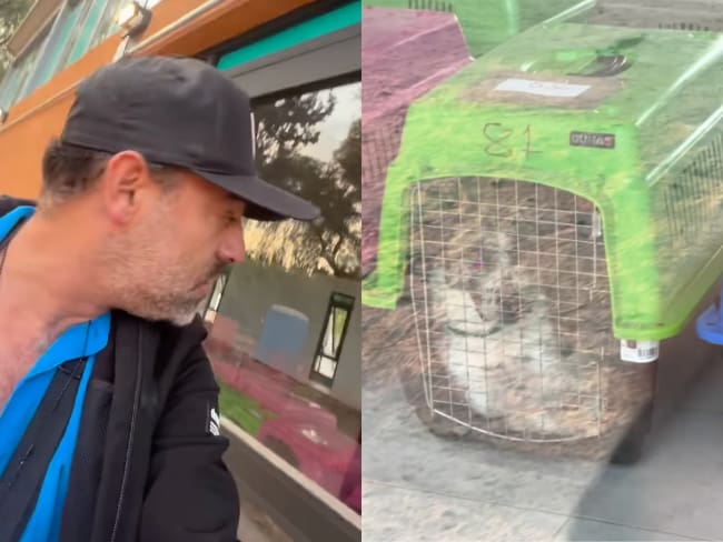 Arturo Islas denuncia en VIDEO que perros del Refugio Franciscano están “presos” en Kennels de la CDMX