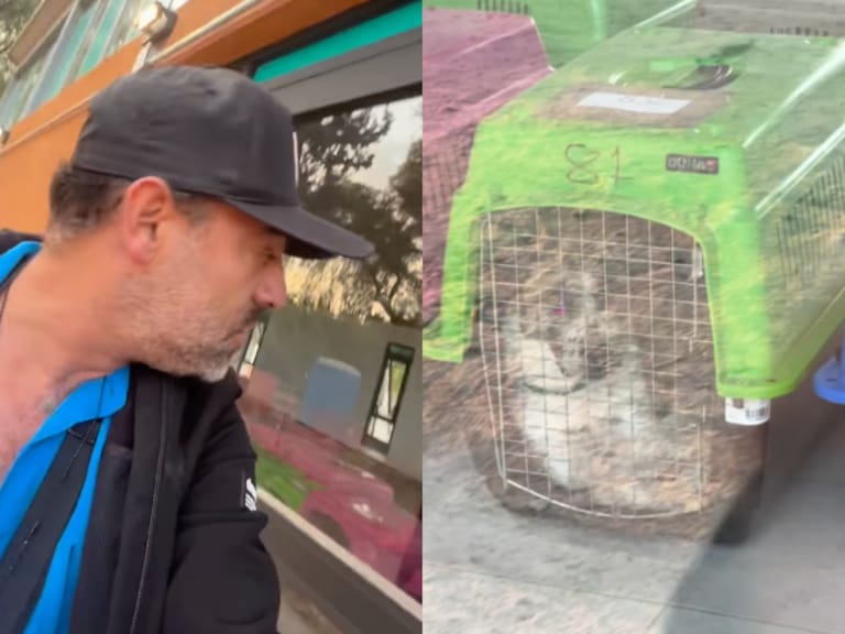 Arturo Islas acusa que los perros desalojados del Refugio Franciscano permanecen en jaulas transportadoras en CDMX