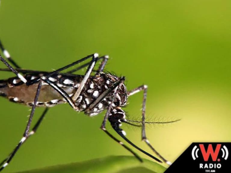 Registran 134 casos de Dengue en Jalisco