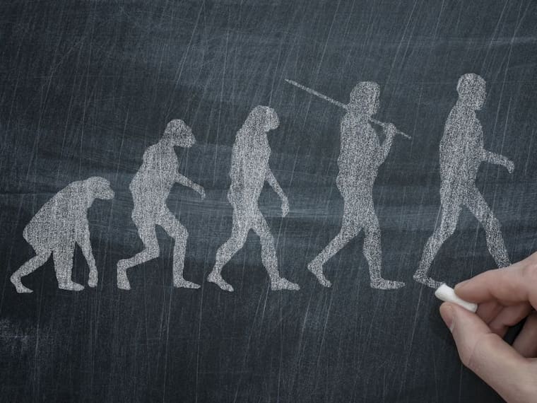 10 cambios evolutivos que nos hicieron humanos