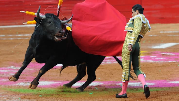 Impugna empresa de la Plaza México amparo para suspender corridas de toros