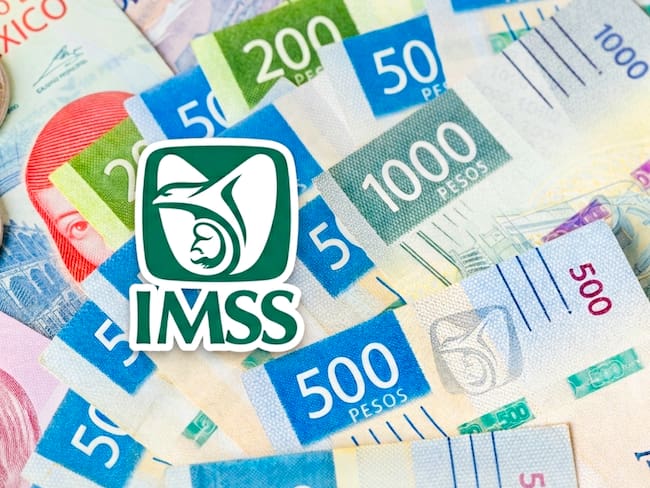 Pensionados IMSS: ¿quiénes recibirán un pago extra equivalente a un mes de pensión?