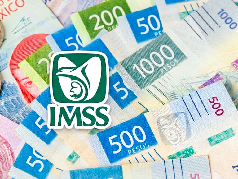 Algunos pensionados del IMSS tienen derecho a recibir un aguinaldo anual equivalente a una mensualidad de su pensión, de acuerdo con las reglas del Instituto.