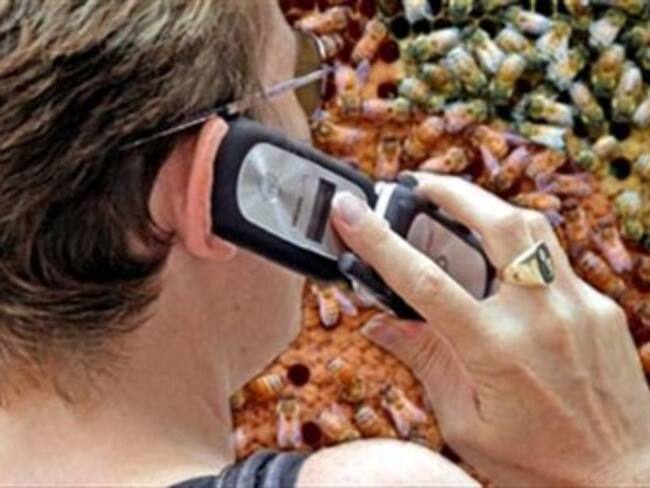 Aplaza Senado el fin del redondeo en telefonía celular