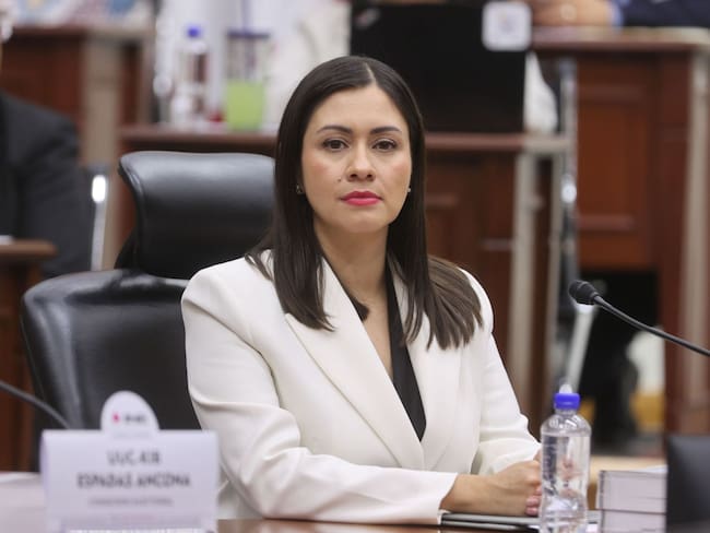 Eligen a Blanca Cruz como presidenta provisional del INE; hoy se vota su nombramiento