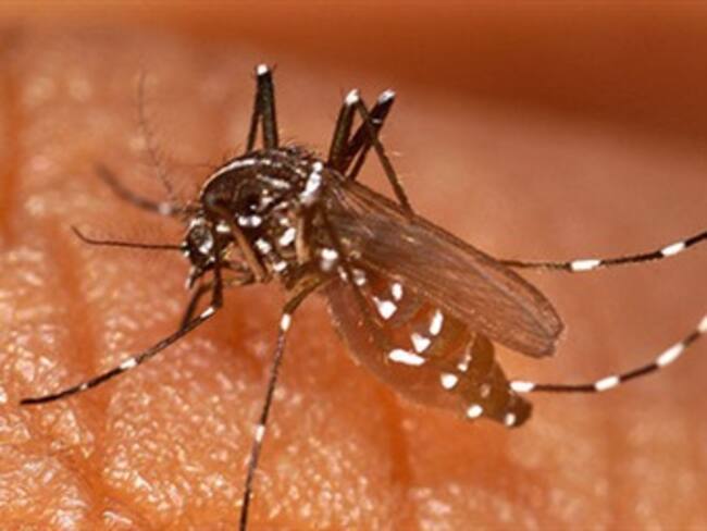 Confirma el Salvador epidemia de ‘Dengue’ y del virus ‘Chikungunya’