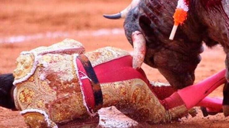 El torero Antonio Romero sufre cornada brutal