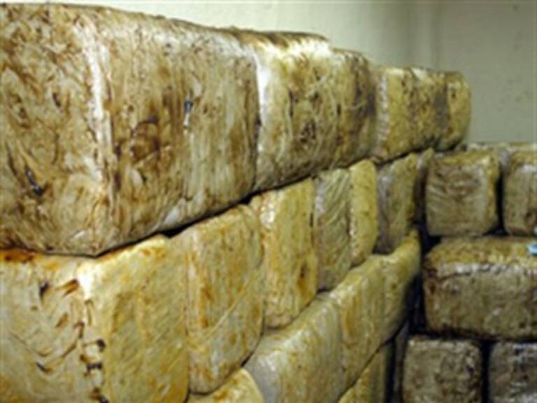 Aseguran más de tonelada y media de marihuana en Tamaulipas
