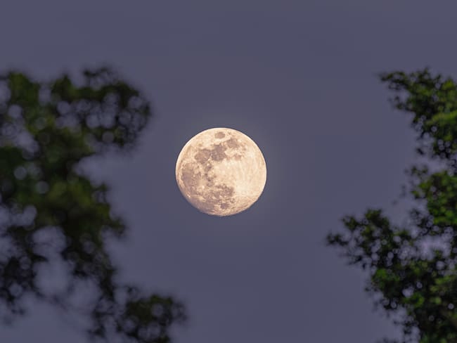 ¿Cuándo es la Luna de Nieve? Guía completa para ver el fenómeno astronómico en febrero