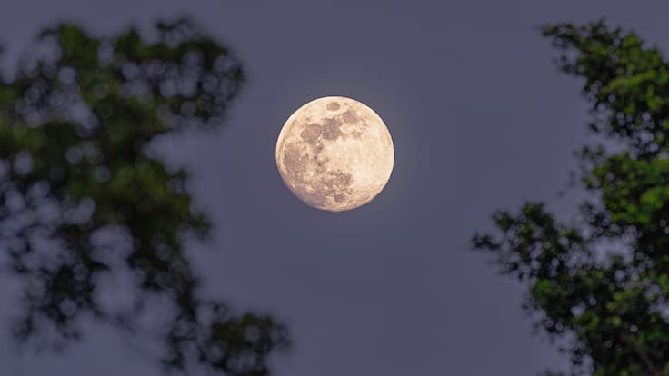 ¿Cuándo es la Luna de Nieve? Guía completa para ver el fenómeno astronómico en febrero