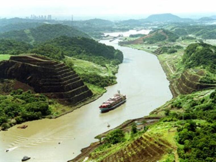 Palomazo Informativo: '¿Qué sopá?'