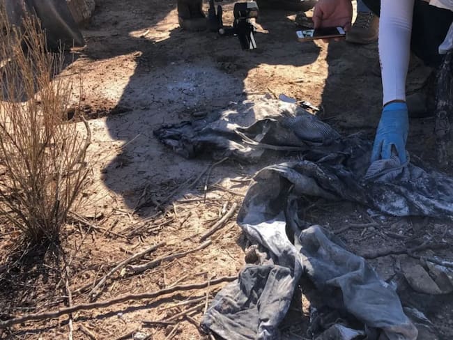 Fosa clandestina en Paraíso, Tabasco: Fiscalía confirma al menos seis cuerpos