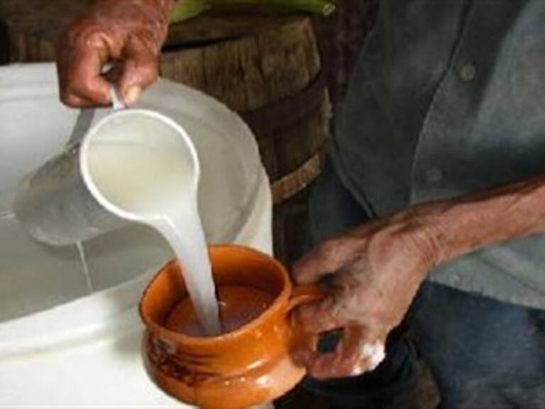 Prueba el pulque curado