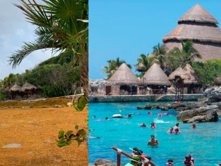 El sargazo a afectado las playas del Caribe Mexicano.