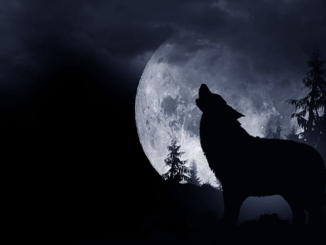 Luna Lobo: ¿Cuándo es la luna llena de enero y por qué la llaman así?