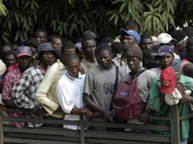 Veta Dominicana trabajo a haitianos por cólera