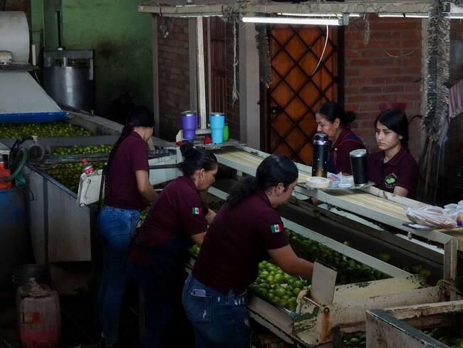 STPS coordinará mesas de discusión sobre reducción de jornada laboral: Sheinbaum