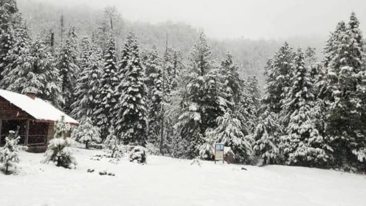 Nevada cubre Chihuahua: ¿Cuál es el municipio más frío de México?