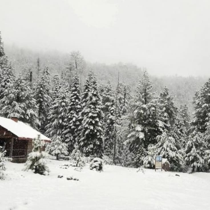 Nevada cubre Chihuahua: ¿Cuál es el municipio más frío de México?