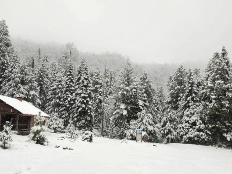 El norte de México enfrenta frío severo y nevadas. X-@ClimaChihuahua1