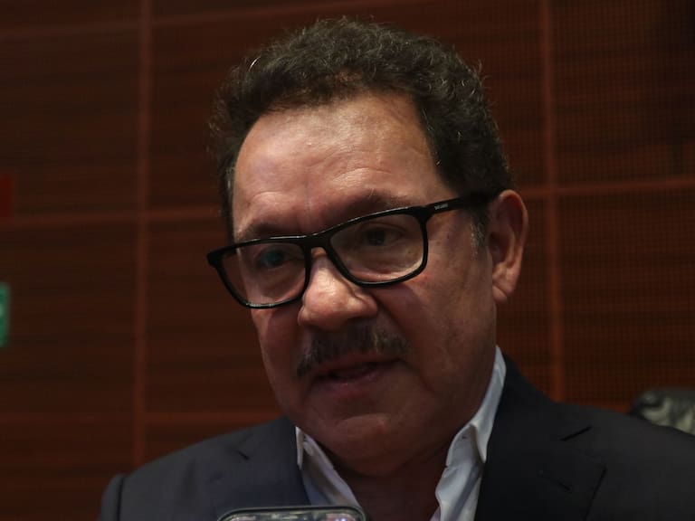 Ignacio Mier, coordinador de los senadores de Morena