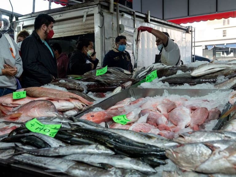 Garantizado abasto de pescados y mariscos en Semana Santa y cuaresma: Seder