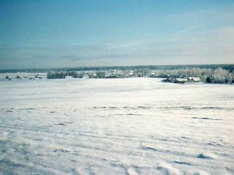 Arrestan a mujer caníbal en Siberia