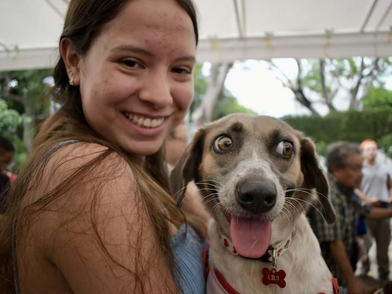 El Registro Único de Animales de Compañía (RUAC), mejor conocida como la CURP para mascotas, no es obligatorio para todos.
