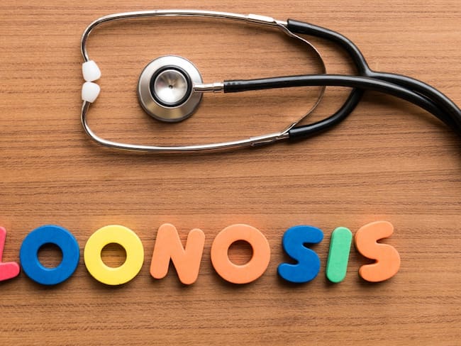 Zoonosis: las enfermedades más graves y comunes transmitidas por animales