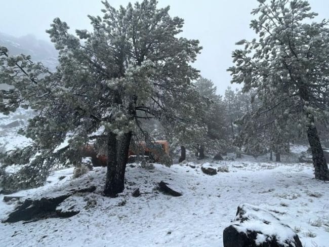 Doble alerta por frío: Estos Estados mexicanos esperan 4 días de -15 grados y lluvias