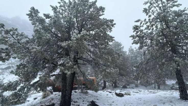 Doble alerta por frío: Estos Estados mexicanos esperan 4 días de -15 grados y lluvias