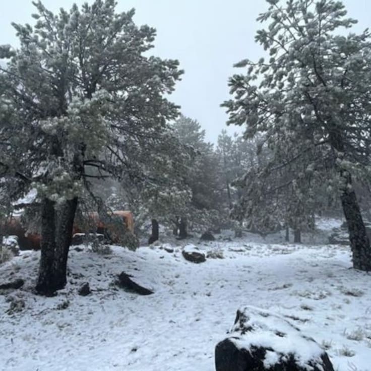 Doble alerta por frío: Estos Estados mexicanos esperan 4 días de -15 grados y lluvias
