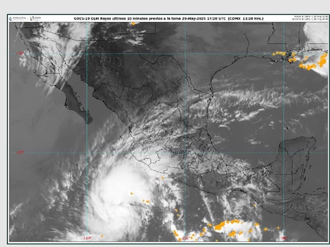 ¡Aguas con “Alvin”! Llega a las costas mexicanas