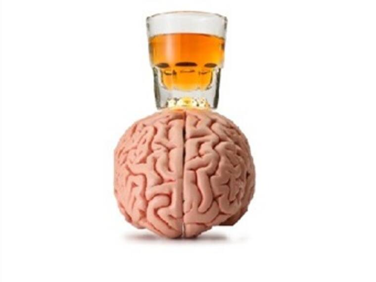 El alcohol y el cerebro de los adolescentes
