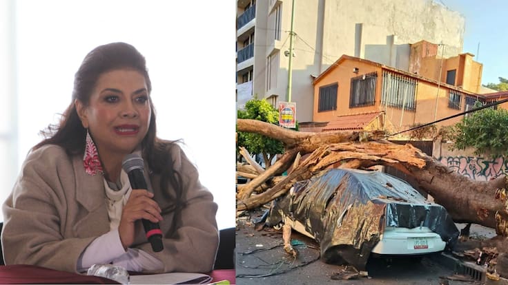 Sismo en CDMX deja 12 lesionados, caída de postes y árboles: Clara Brugada