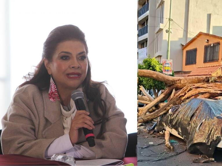 El sismo en CDMX de magnitud 6.5 dejó un saldo de 12 personas lesionadas, la caída de 5 postes y 4 árboles, detalló en su informe la jefa de gobierno, Clara Brugada.