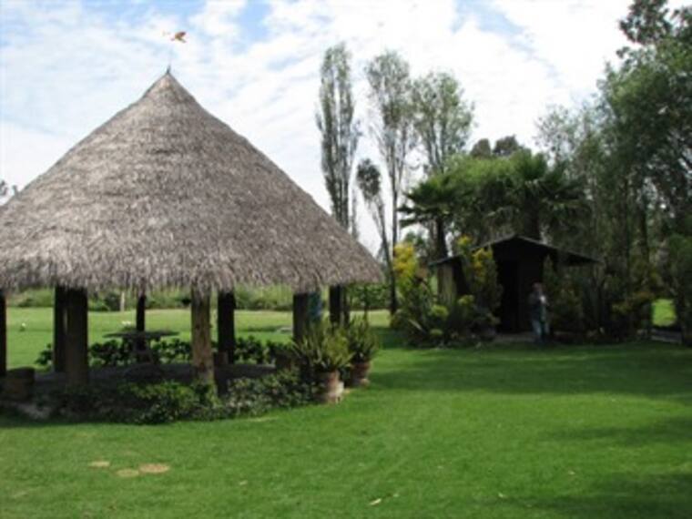 'Ecoviajes para niños' Fernanda delgadillo. 07/04/13